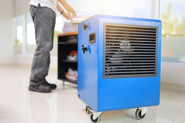 Best Industrial Mold Remediation  in East Glenville, NY